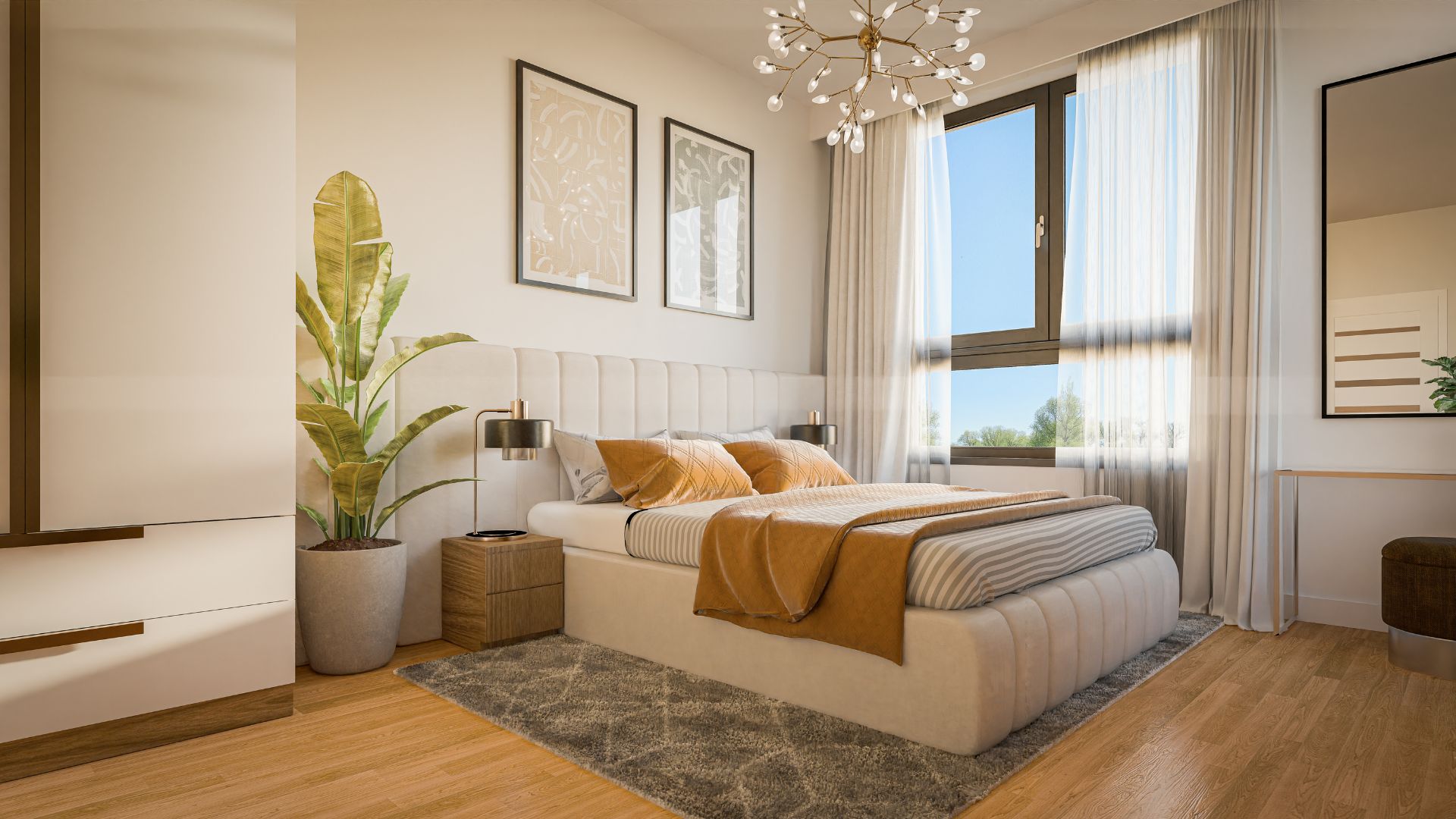 akademia development case study