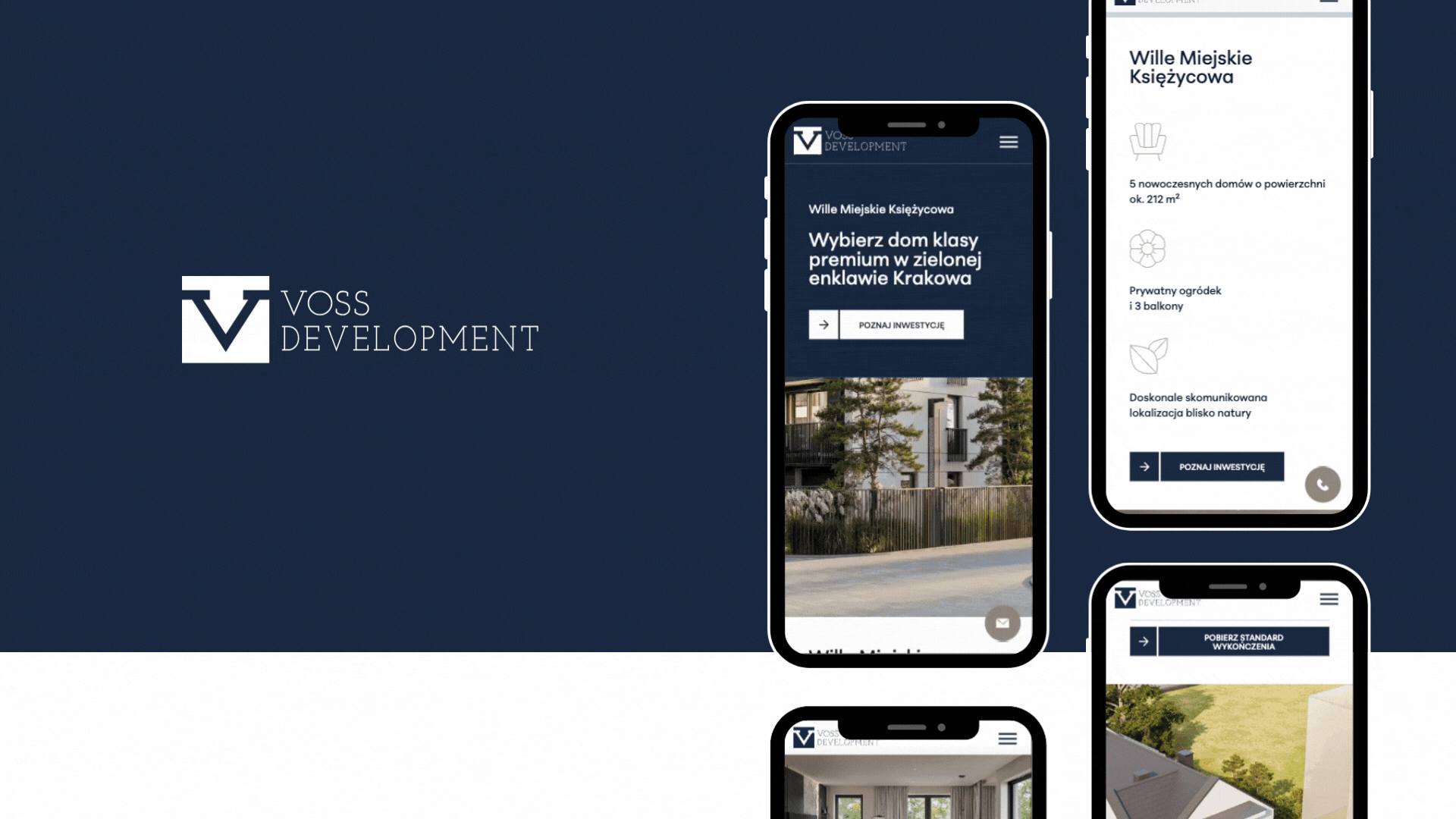 case study voss development